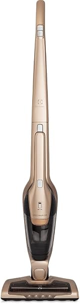 Aspirador Vertical ERG26 Electrolux